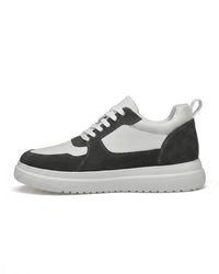 Slate Fog Grey