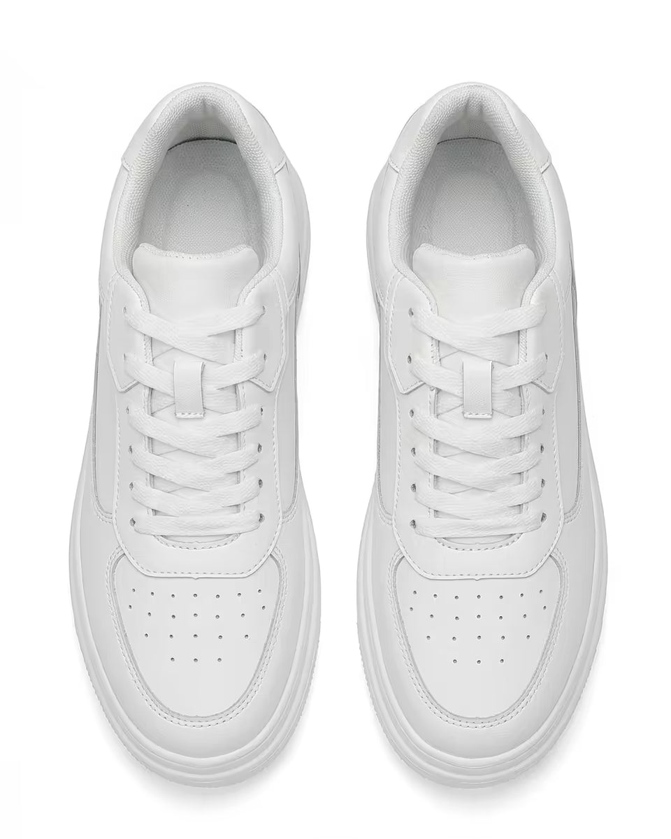 Field Bone White